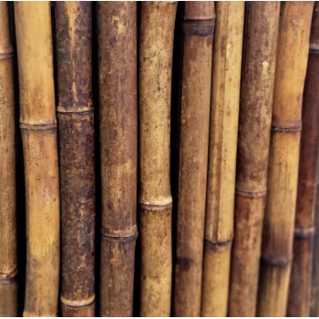 Backyard X-Scapes 4 ft. H x 8 ft. W Caramel Brown Bamboo Fencing Garden Fence Panel