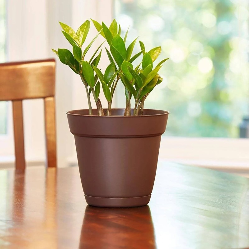 Graff Small 5.94 in. x 5.31 in. Cocoa Resin Indoor/Outdoor Planter/Saucer 6 Pack