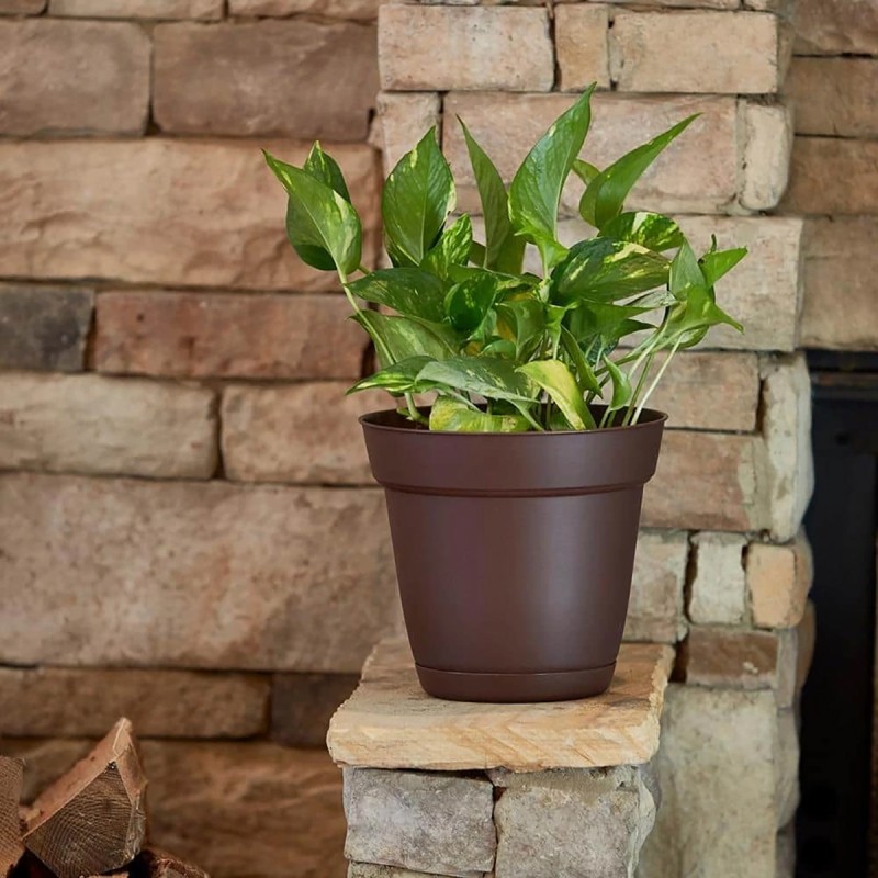 Graff Small 5.94 in. x 5.31 in. Cocoa Resin Indoor/Outdoor Planter/Saucer 6 Pack