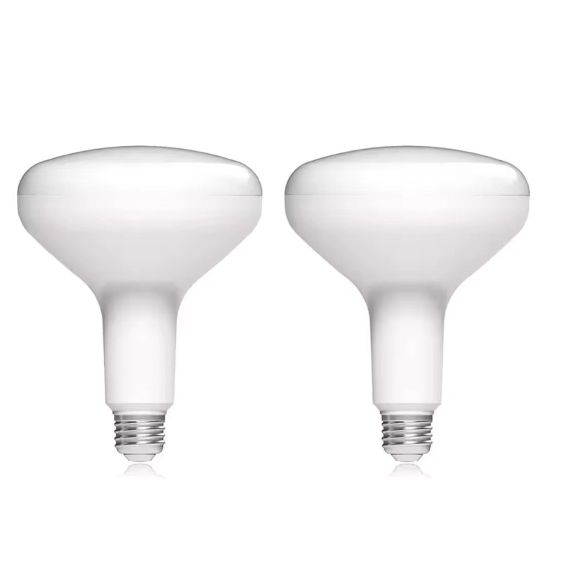 Ecosmart 75-Watt Replacement BR40 Dimmable LED Light Bulb Daylight (2-Pack)