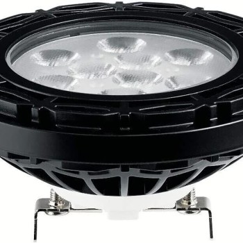 Kichler 18191 LED PAR36 Bulb 14W 3000K 15° Narrow Flood 12V Black Landscape