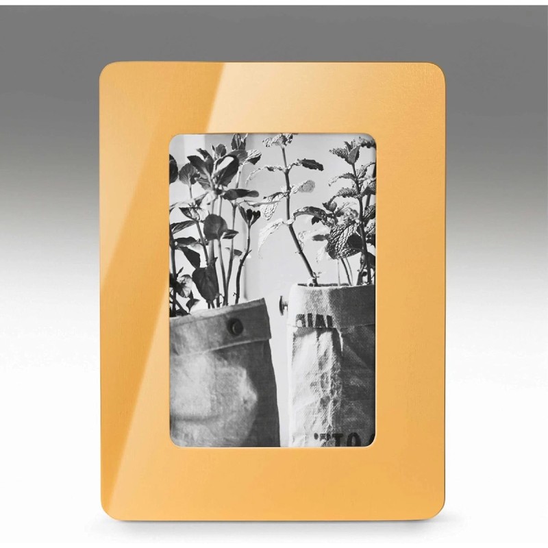 Krylon COLORmaxx K05504007 Spray Paint & Primer Gloss Bauhaus Gold 12 oz