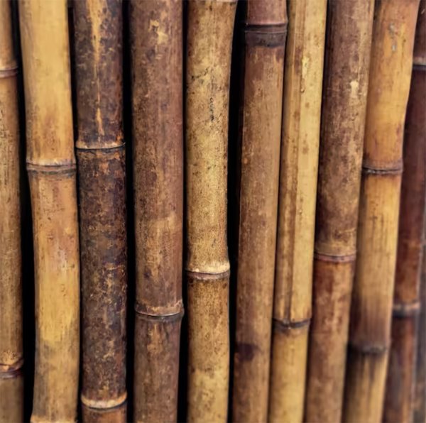 Backyard X-Scapes 4 ft. H x 8 ft. W Caramel Brown Bamboo Fencing Garden Fence Panel