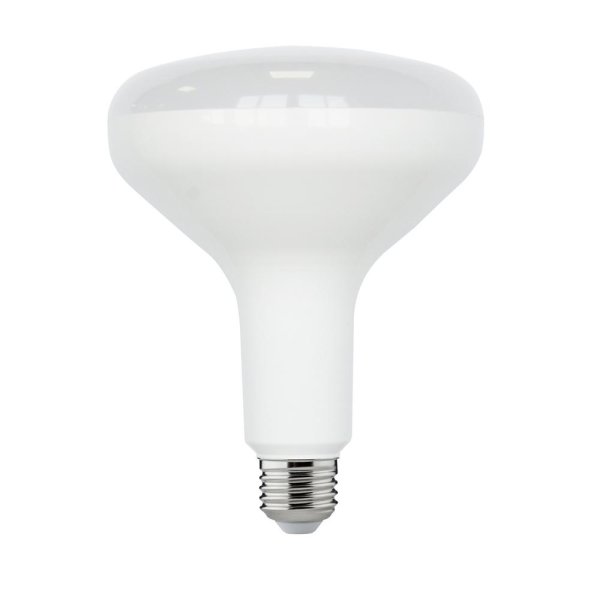 90-Watt Equivalent BR40 Dimmable Energy Star LED Flood Light Bulb Soft White (2-Pack)